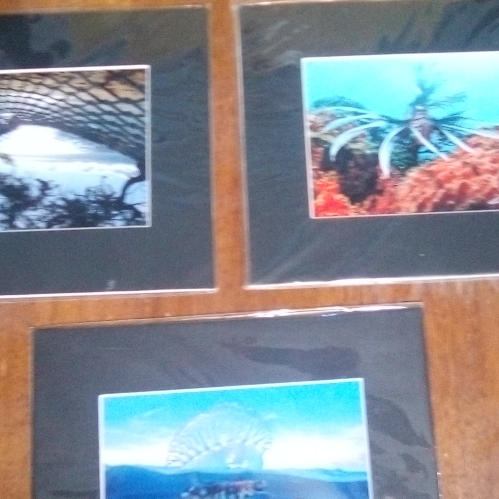 Photo art